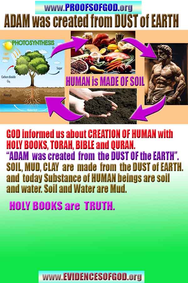 god is real, god exists here proofs, god's proofs, proofs of god, evidences of god, proofs-god, evidences-god 