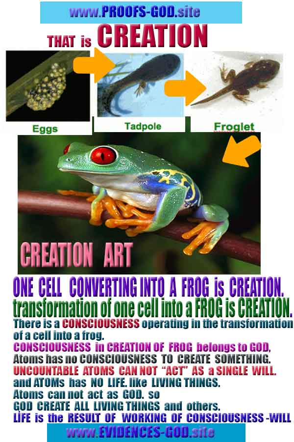 god is real, god exists here proofs, god's proofs, proofs of god, evidences of god, proofs-god, evidences-god, signs-god  