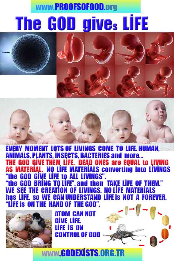 god is real, god exists here proofs, god's proofs, proofs of god, evidences of god, evidences-god, signs-god 