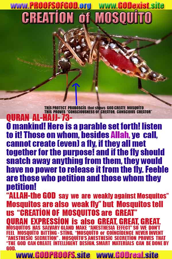  god is real, god exists here proofs, god's proofs, proofs of god, evidences of god, proofs-god, evidences-god, signs-god