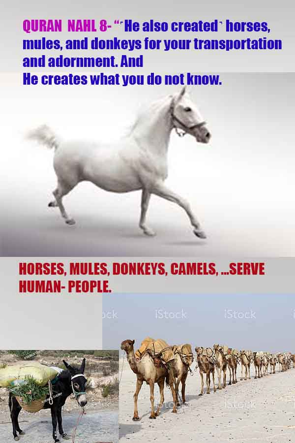 god is real, god exists here proofs, god's proofs, proofs of god, evidences of god, proofs-god, evidences-god, signs-god 