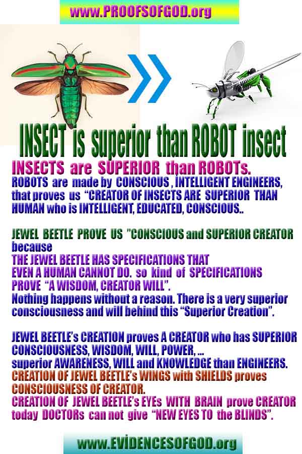 god is real, god exists here proofs, god's proofs, proofs of god, evidences of god, proofs-god, evidences-god, signs-god  